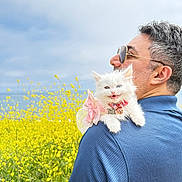 Yuki joined the competition — help win amazing prizes! man, cat, kitten, white_cat, sunglasses, blue_shirt, pink_bow, flower_field, yellow_flowers, outdoor, nature, pet, animal, happy, portrait, shoulder, grass, sky, daylight, smiling