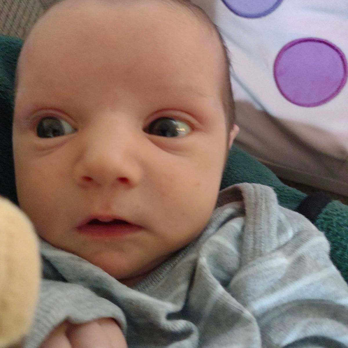Felix