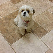 Hazel Grace is registered to the contest to win money with this photo: