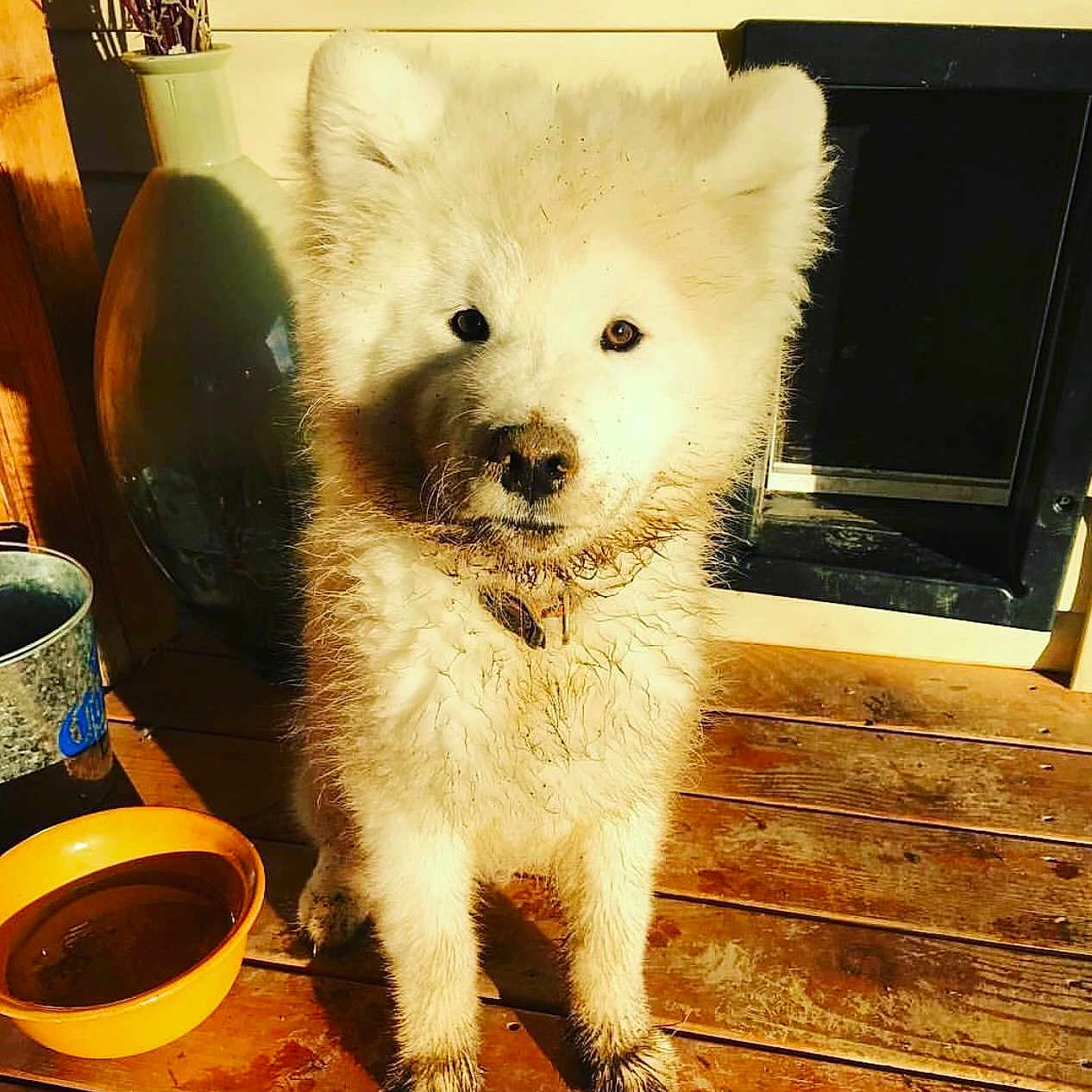 Tusk