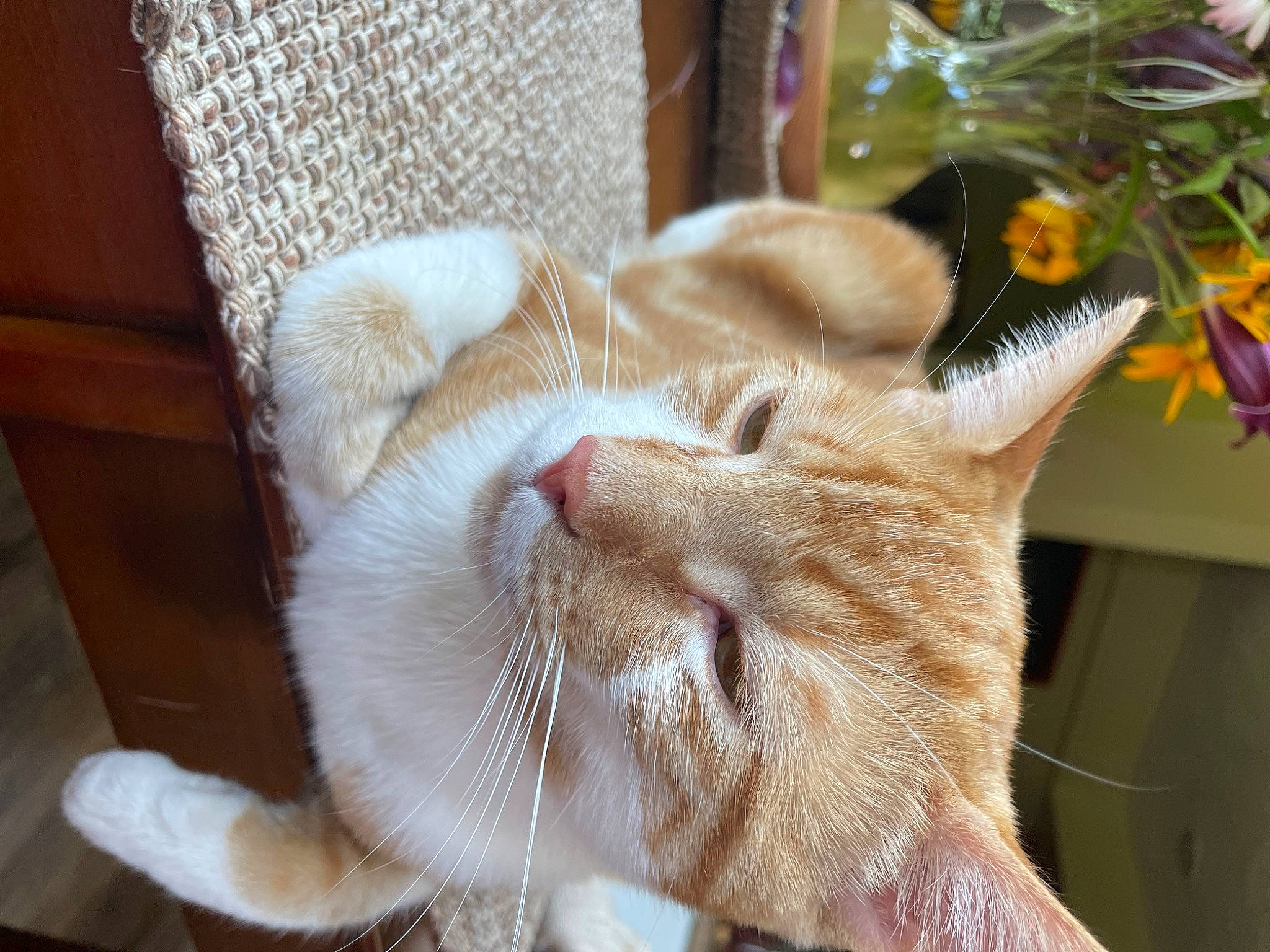 Leonard