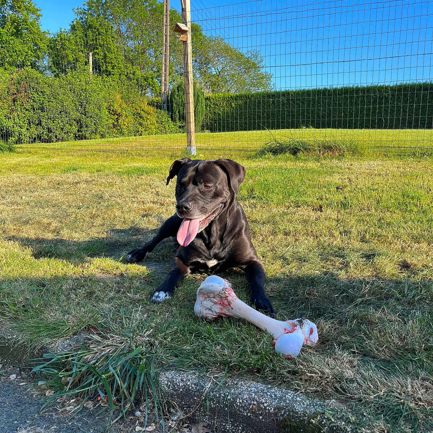 Tayson