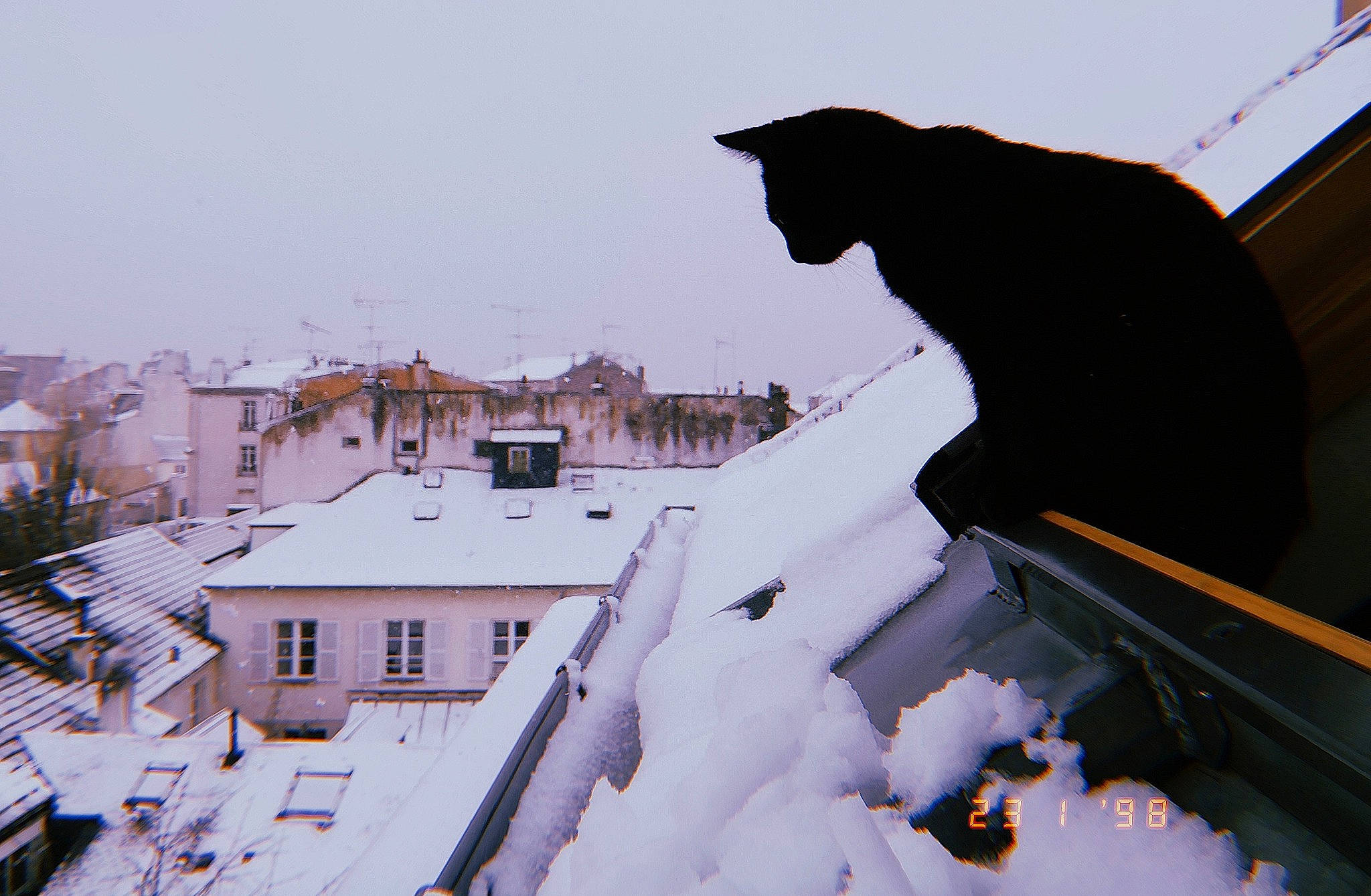 Blacky participe au concours pour gagner de l'argent avec cette photo : architecture, building, city, freezing, home, house, material_property, roof, sky, snow, street, town, tree, window, winter