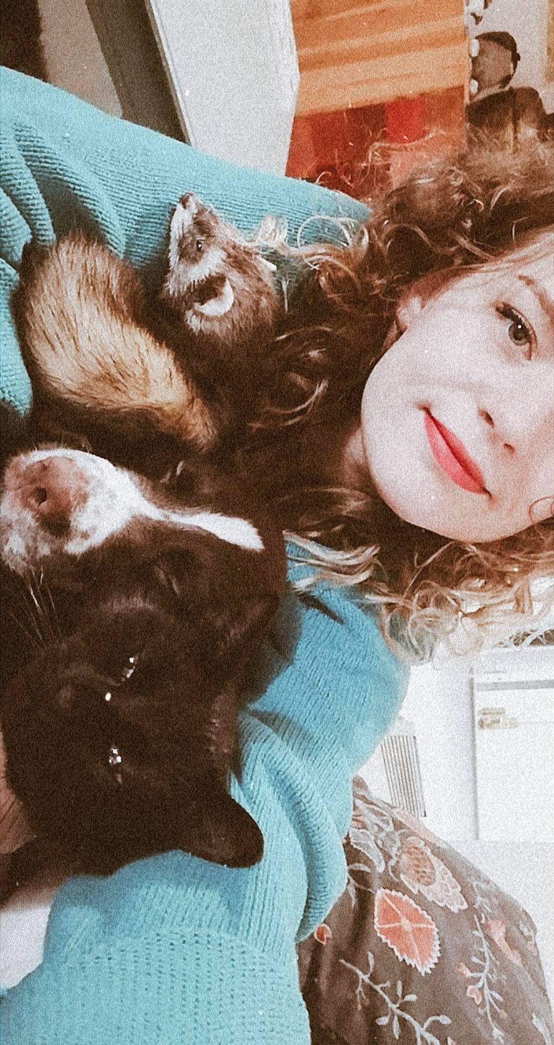 Billy participe au concours pour gagner de l'argent avec cette photo : cat, ear, fur, illustration, long_hair, whiskers