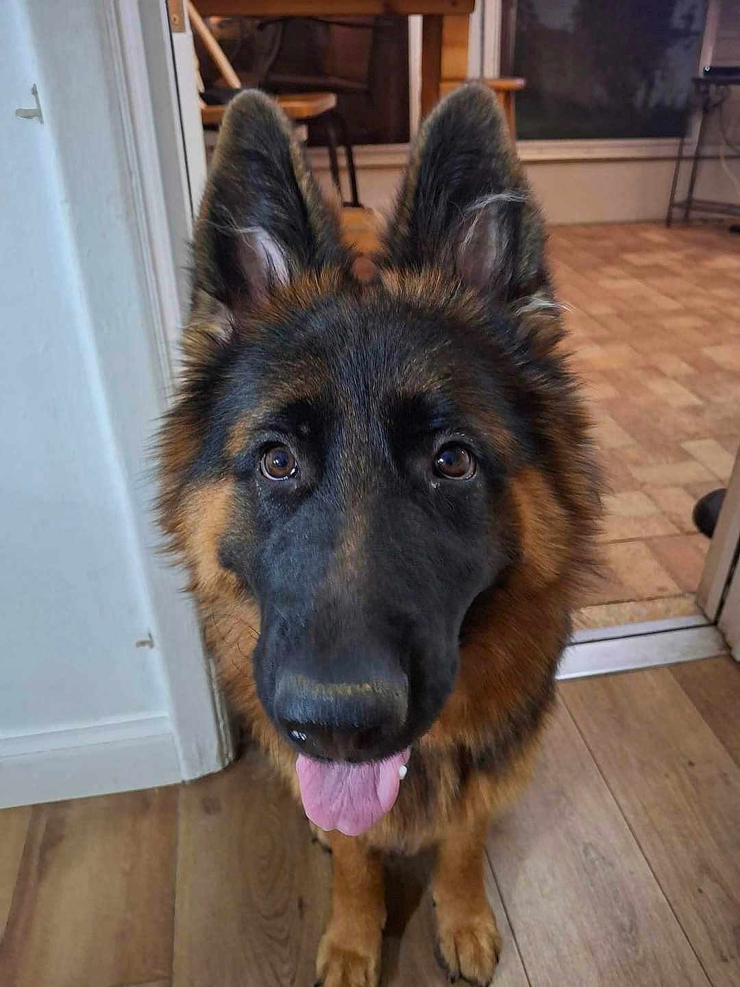 Blu