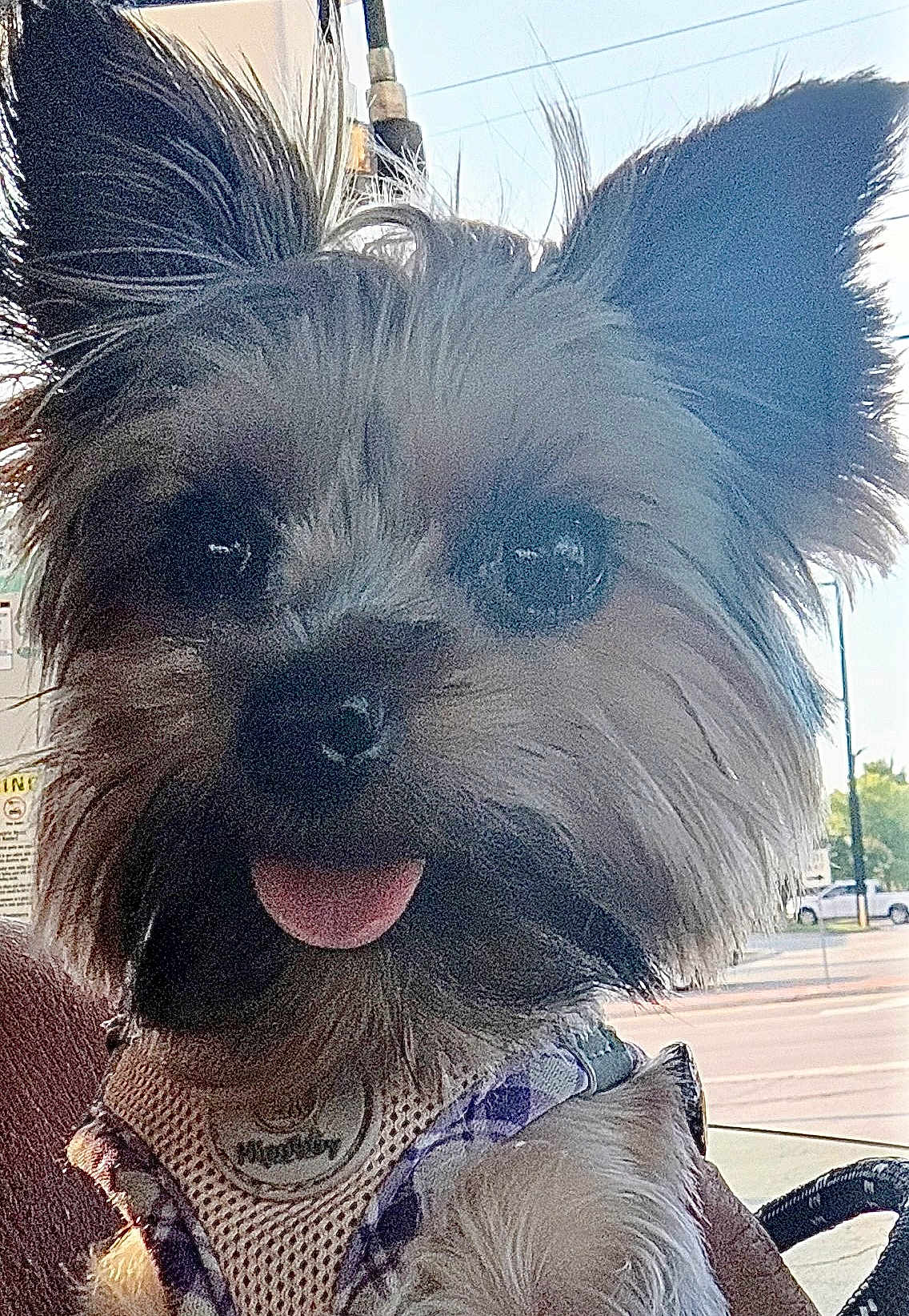 Luna
