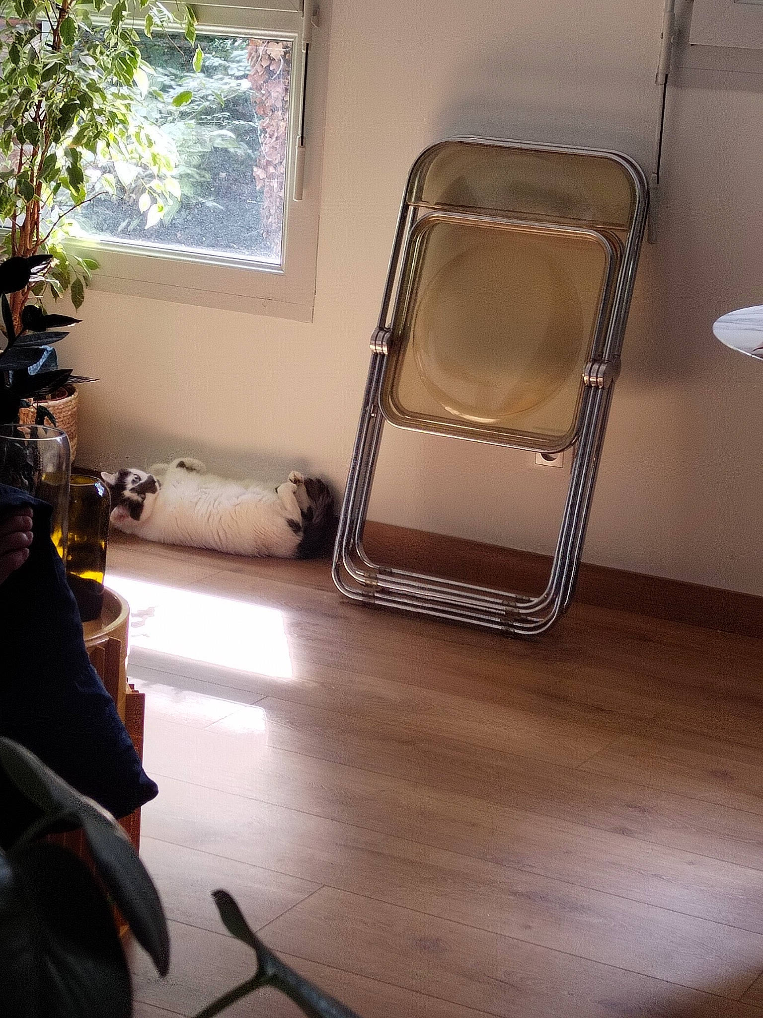 Flume participe au concours pour gagner de l'argent avec cette photo : automotive_design, automotive_exterior, building, chair, club_chair, comfort, floor, flooring, hardwood, houseplant, living_room, plant, rectangle, tints_and_shades, tree, varnish, vehicle_door, window, wood, wood_flooring