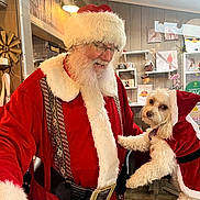 Maggie joined the competition — help win amazing prizes! santa_claus, dog, christmas, holiday, costume, indoor, beard, red_clothing, white_fur, glasses, pet, festive, smiling, decor, wood_paneling, shelf, mug, ornament, light, window