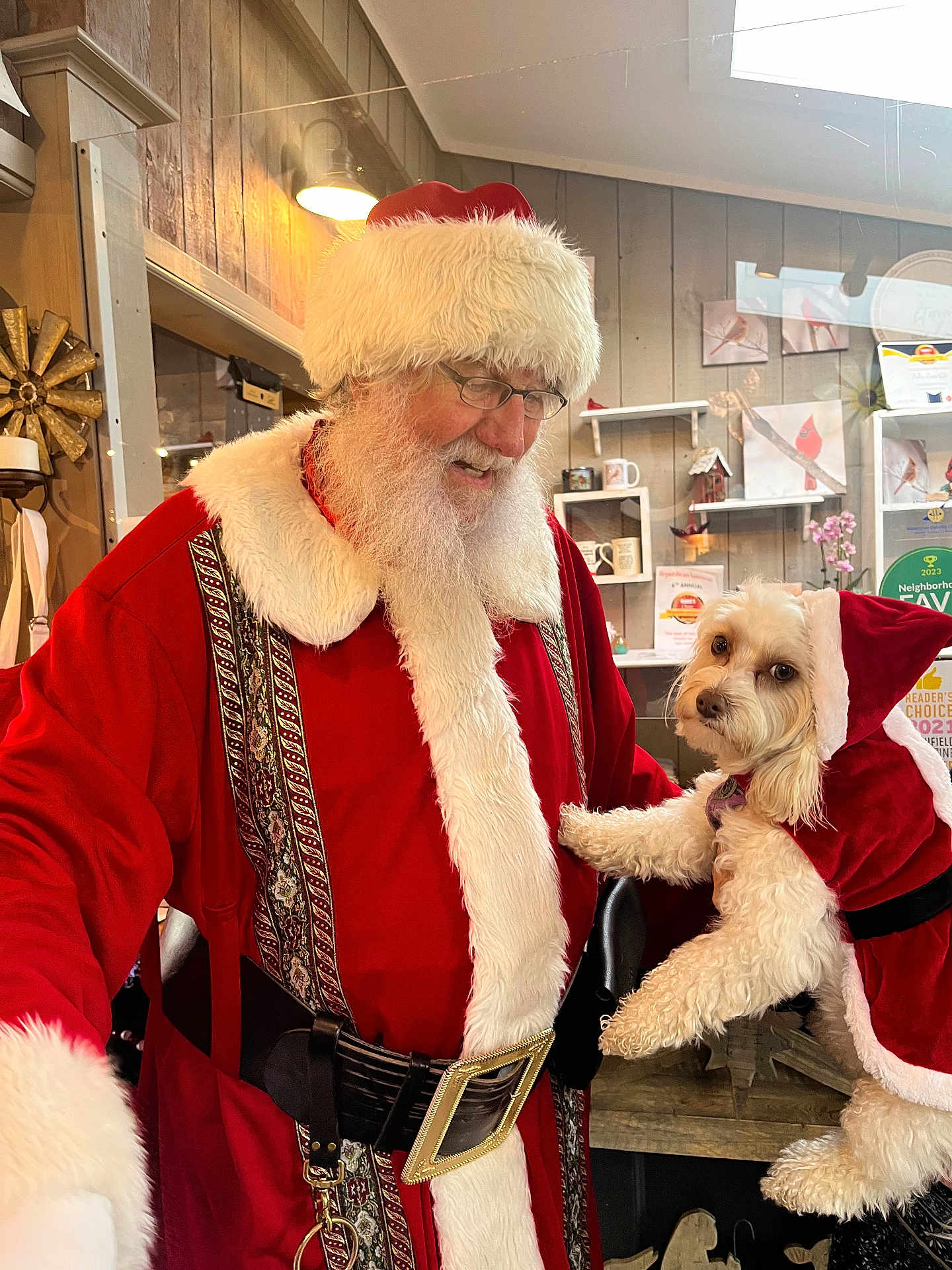 Maggie joined the competition — help win amazing prizes! santa_claus, dog, christmas, holiday, costume, indoor, beard, red_clothing, white_fur, glasses, pet, festive, smiling, decor, wood_paneling, shelf, mug, ornament, light, window