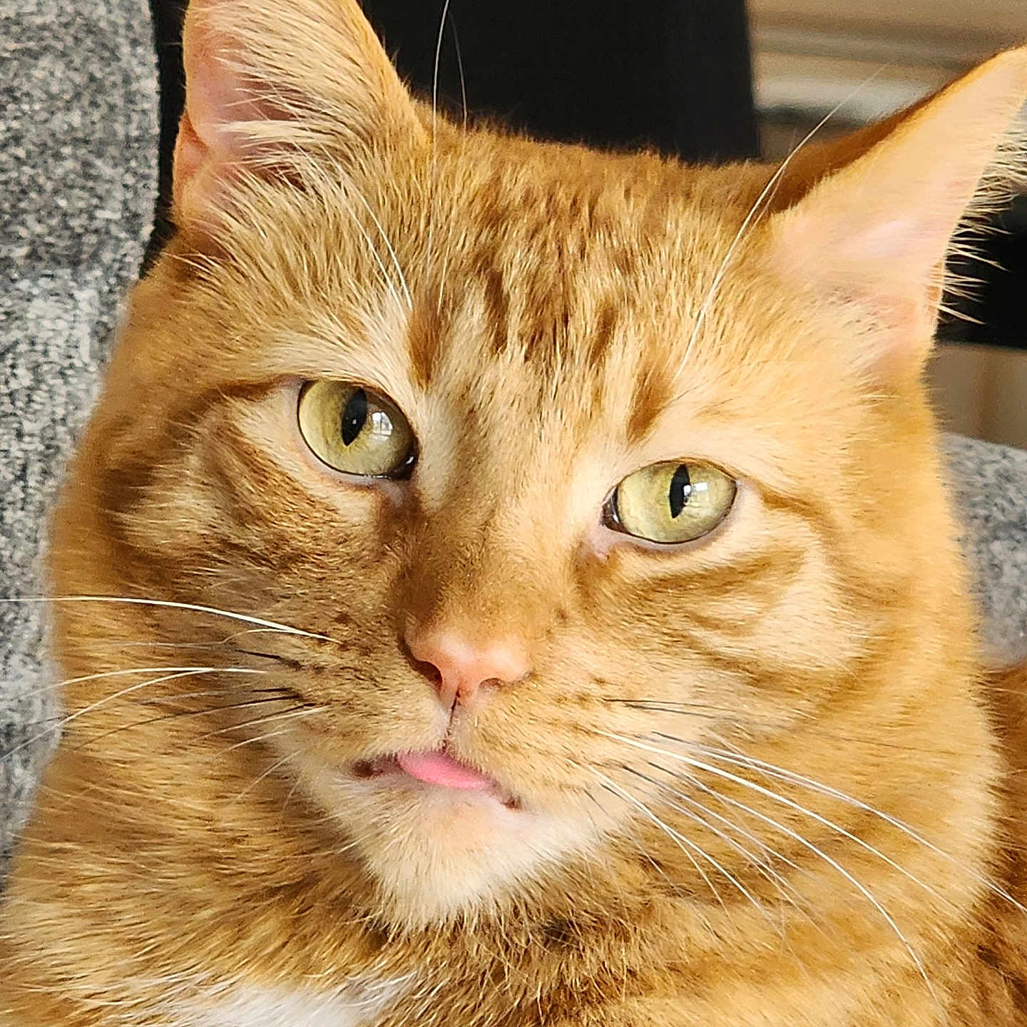 Leo