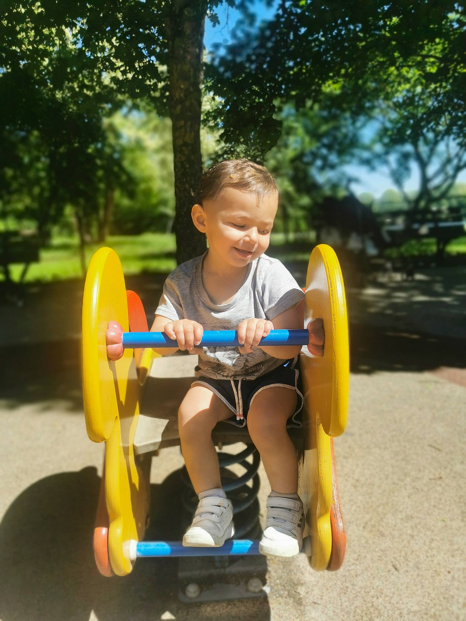 Gino participe au concours pour gagner de l'argent avec cette photo : city, fun, grass, happy, leisure, outdoor_play_equipment, person, plant, playground, recreation, shorts, sitting, sky, smile, summer, t_shirt, tire, toddler, toy, tree
