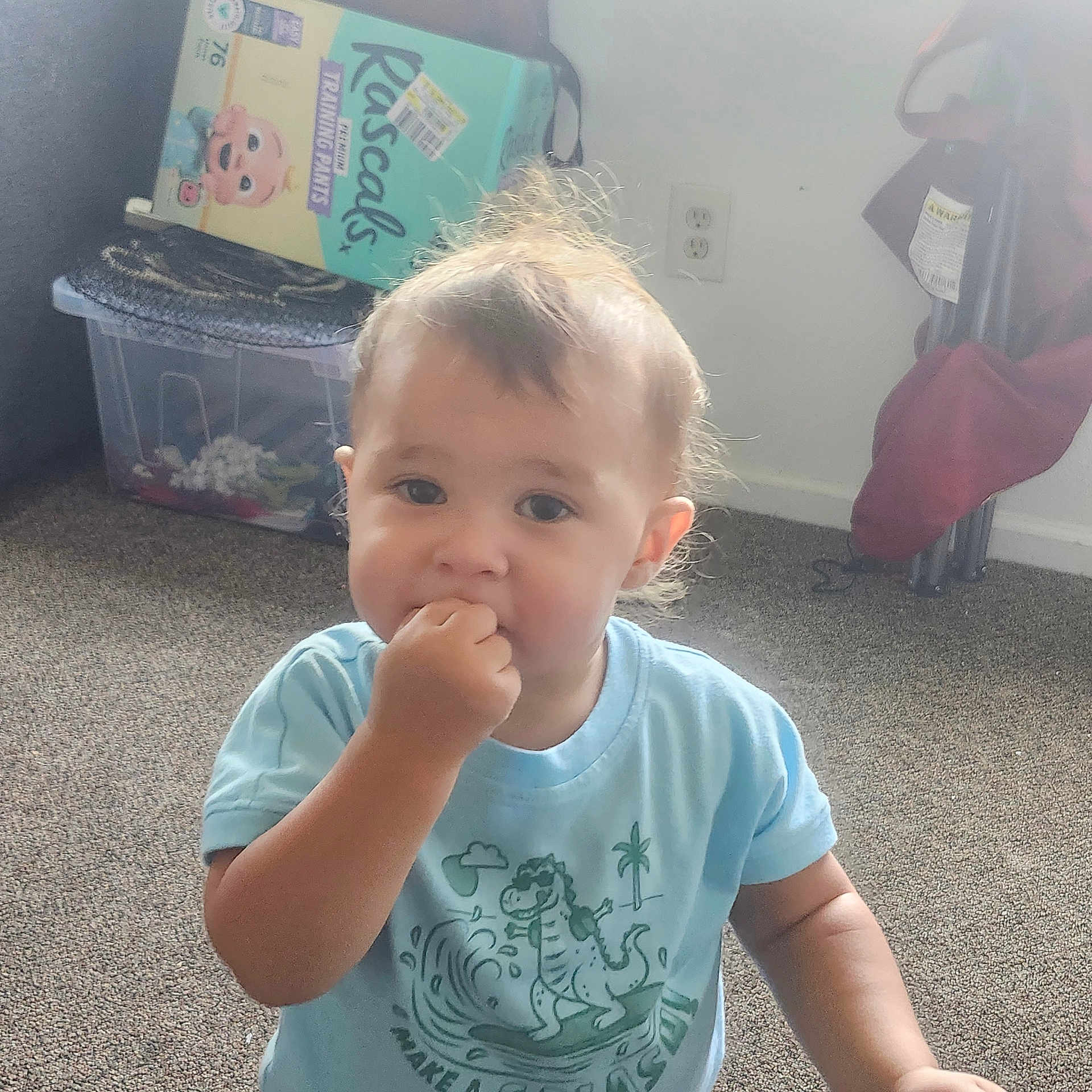 Courtlan is registered to the contest to win money with this photo: baby, blue_shirt, carpet, casual_clothing, child, curly_hair, cute, dinosaur_print, expression, face, floor, hand_in_mouth, home, indoor, person, plastic_bin, toddler, toy_storage, training_pants_box, young_child