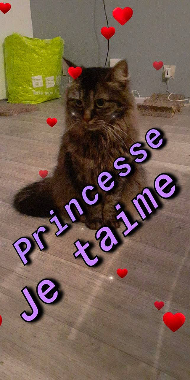 Princesse