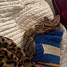 cat, tabby_cat, sleeping, knitted_sweater, blue_sweater, quilt, blanket, leopard_print, indoor, cozy, pet, fur, paw, resting, cute, animal, feline, warm, comfort, bed