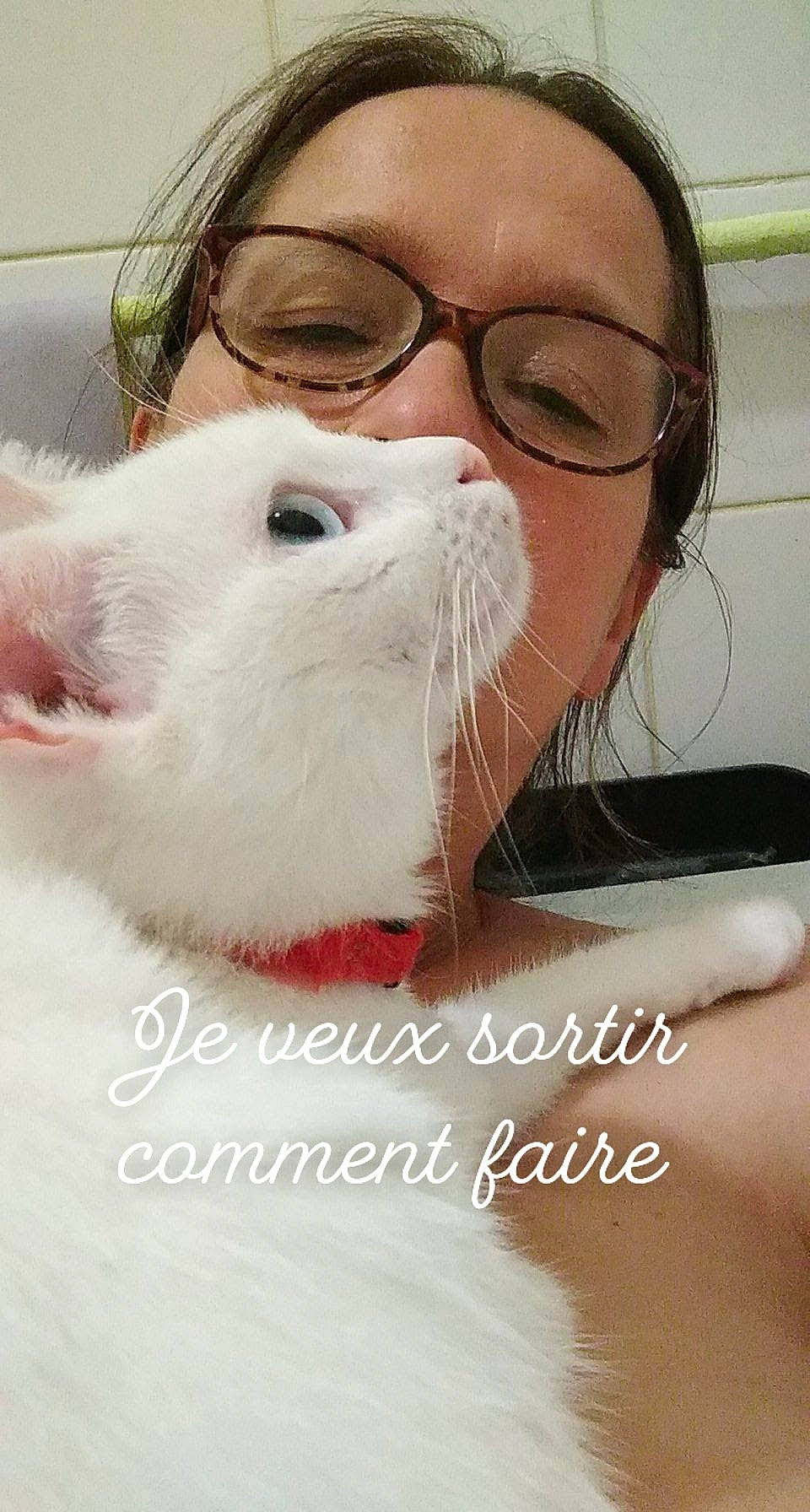 Ragnar a rejoint le concours — aidez-le/la à gagner de superbes lots ! beard, ear, eyelash, eyewear, facial_hair, felidae, fur, gesture, glasses, happy, jaw, moustache, nose, skin, small_to_medium_sized_cats, snout, throat, vision_care, whiskers, white