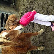 Princesse participe au concours pour gagner de l'argent avec cette photo :