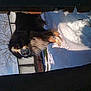 Rudy participe au concours pour gagner de l'argent avec cette photo :