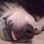 Rudy participe au concours pour gagner de l'argent avec cette photo :