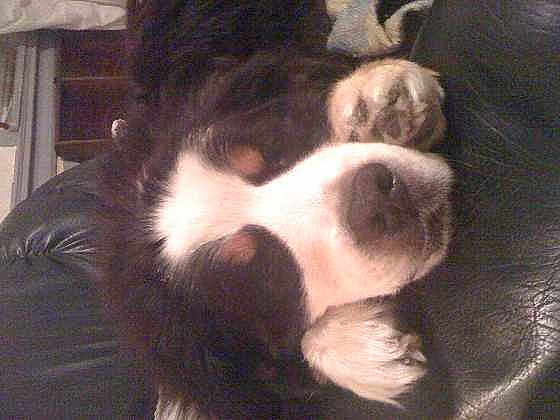 Rudy