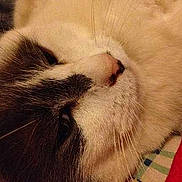 Patapouf participe au concours pour gagner de l'argent avec cette photo :