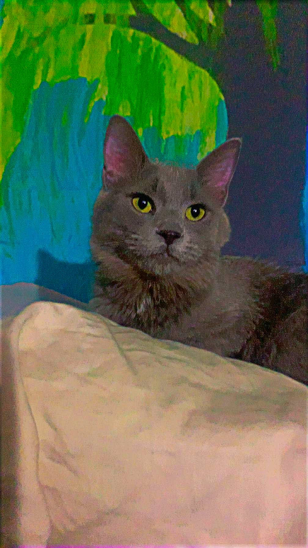 Saturn is registered to the contest to win money with this photo: art, art_paint, carnivore, cat, drawing, felidae, illustration, paint, painting, russian_blue, small_to_medium_sized_cats, snout, terrestrial_animal, visual_arts, watercolor_paint, whiskers