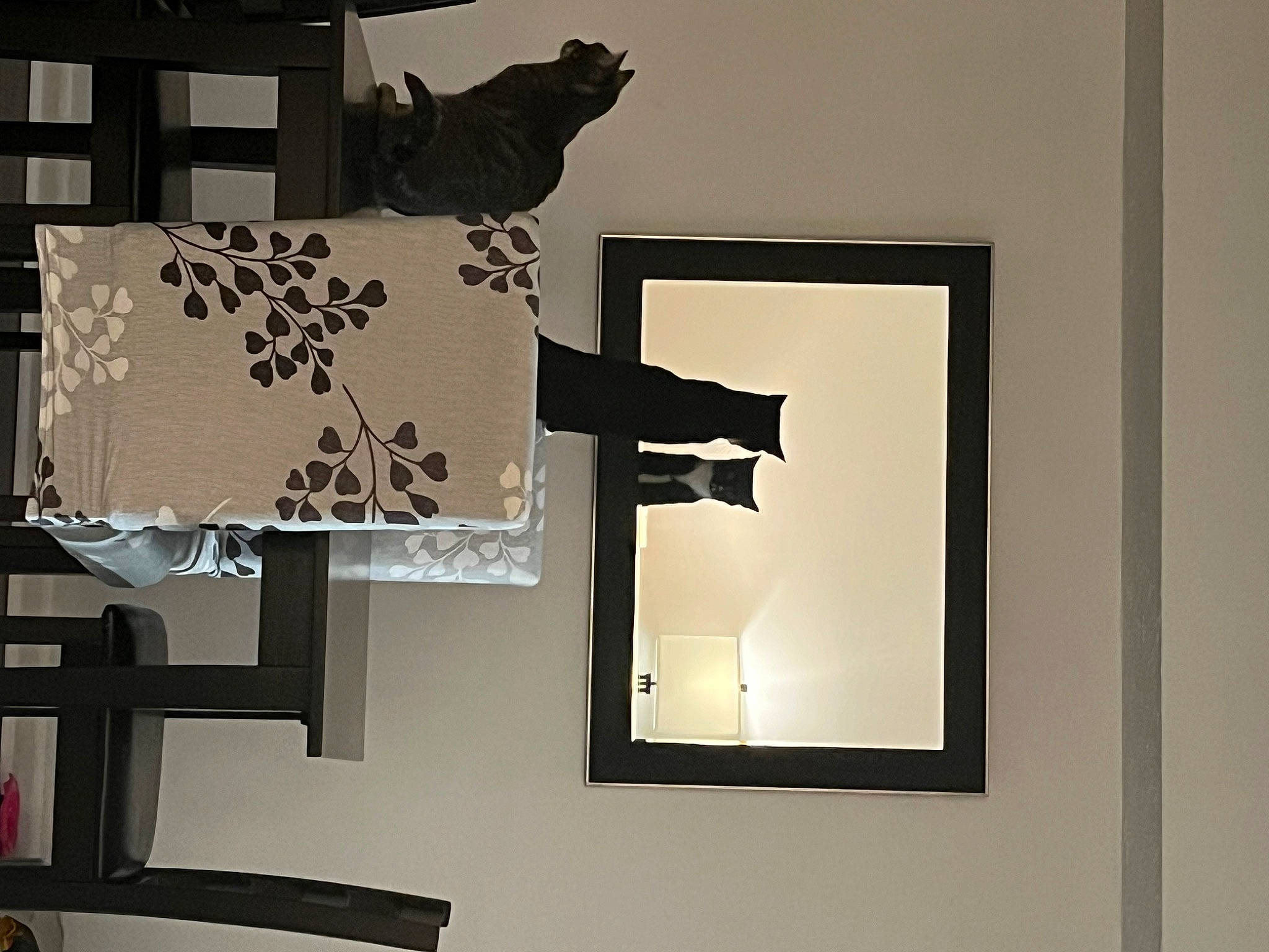 Gus is registered to the contest to win money with this photo: art, creative_arts, font, gesture, graphic_design, material_property, monochrome, monochrome_photography, paper, pattern, rectangle, room, shadow, square, still_life_photography, tints_and_shades, visual_arts, wall, window, wood