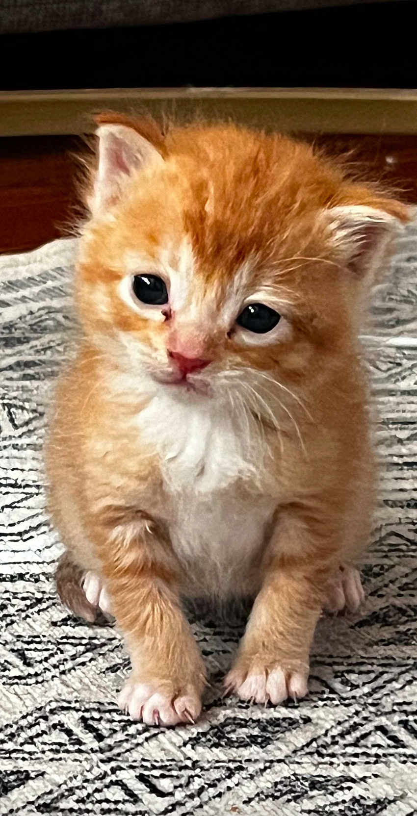 Edna