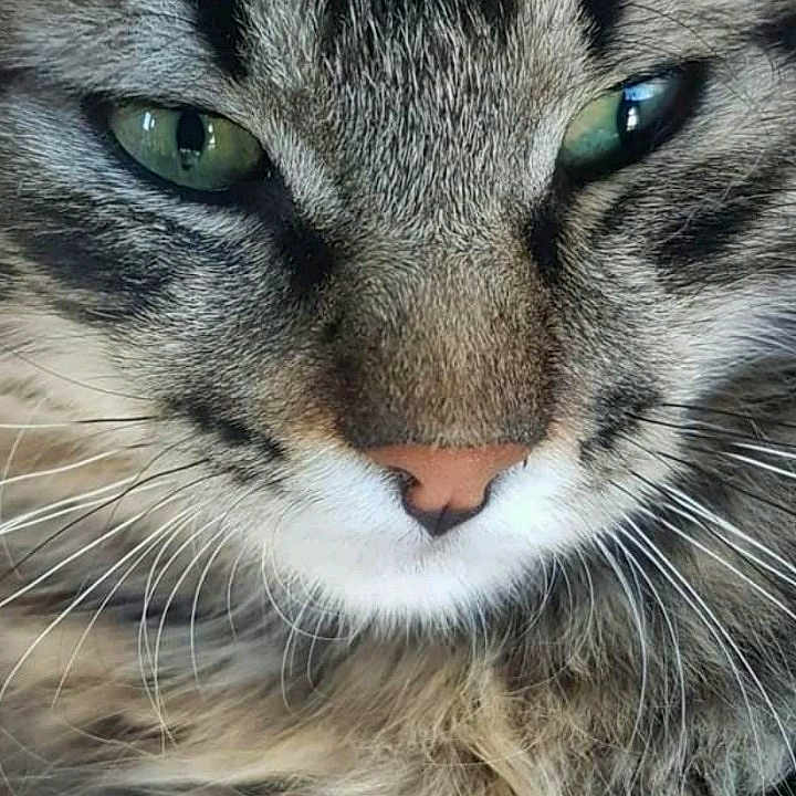 Gaspard