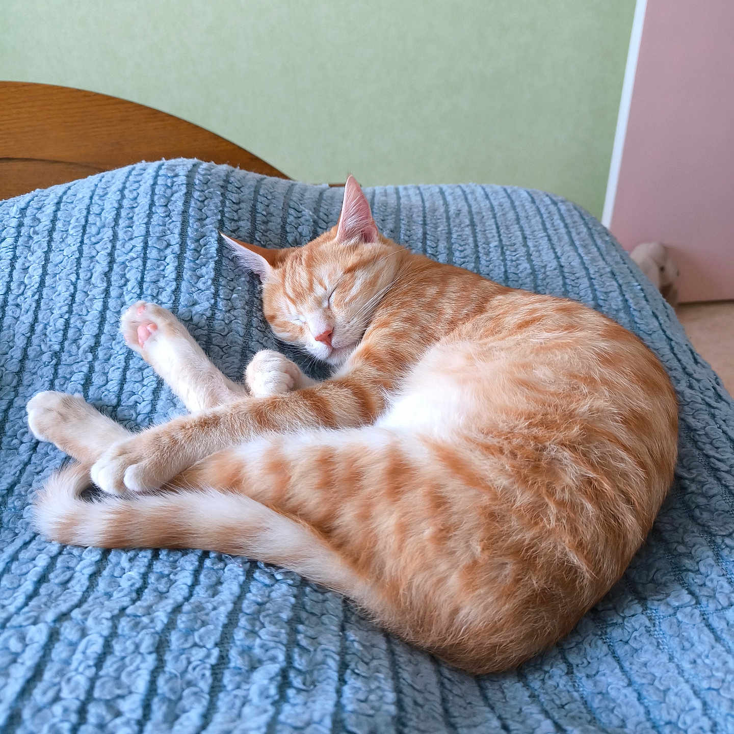 Vadrouille