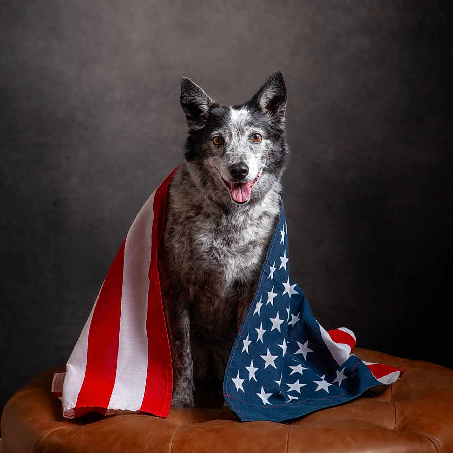 Maggie