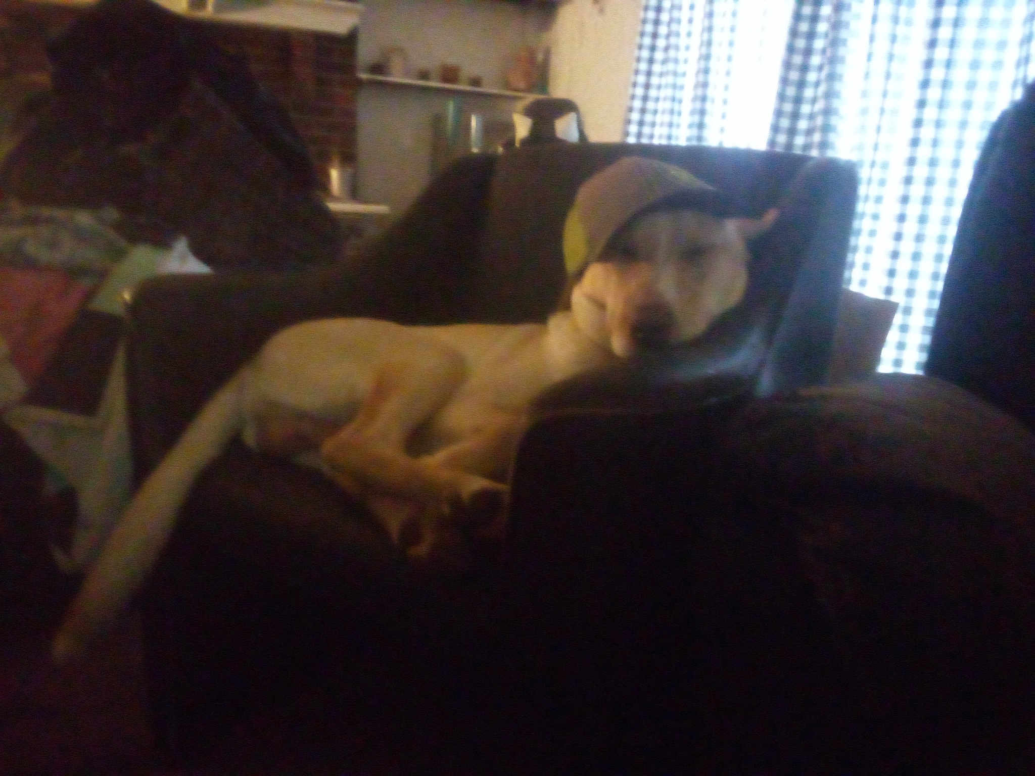 Yeller