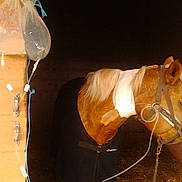 Vénus a rejoint le concours — aidez-le/la à gagner de superbes lots !