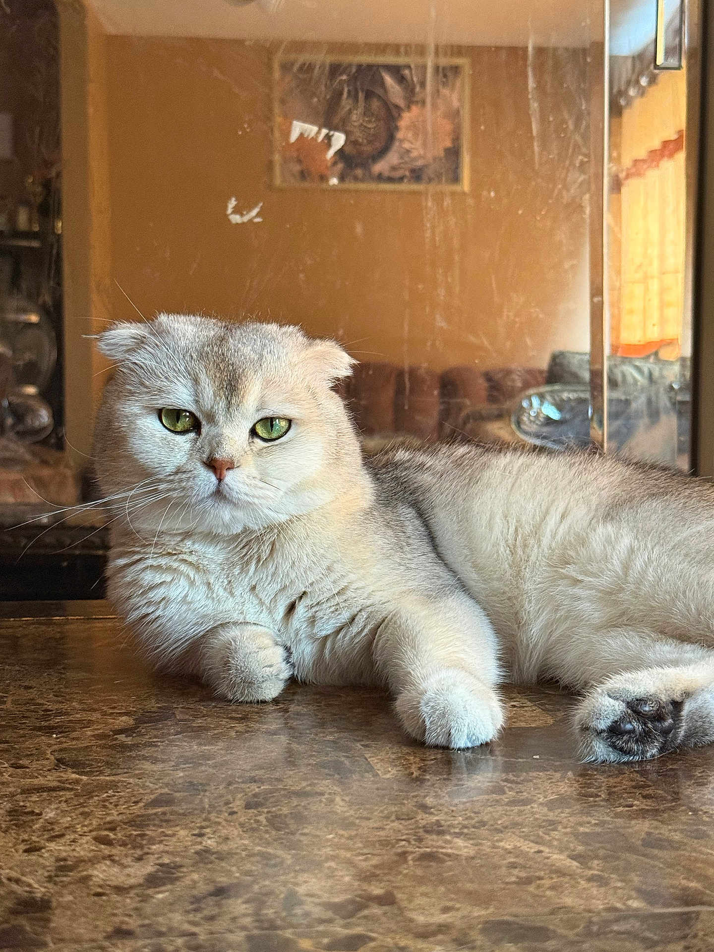 Yogi