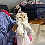Yogi joined the competition — help win amazing prizes! cat, white_shirt, person, blue_top, pink_pants, indoor, carpet, clutter, furniture, chair, desk, cosmetic_products, wood_floor, sitting, hand, pet, animal, clothing, cute, expression