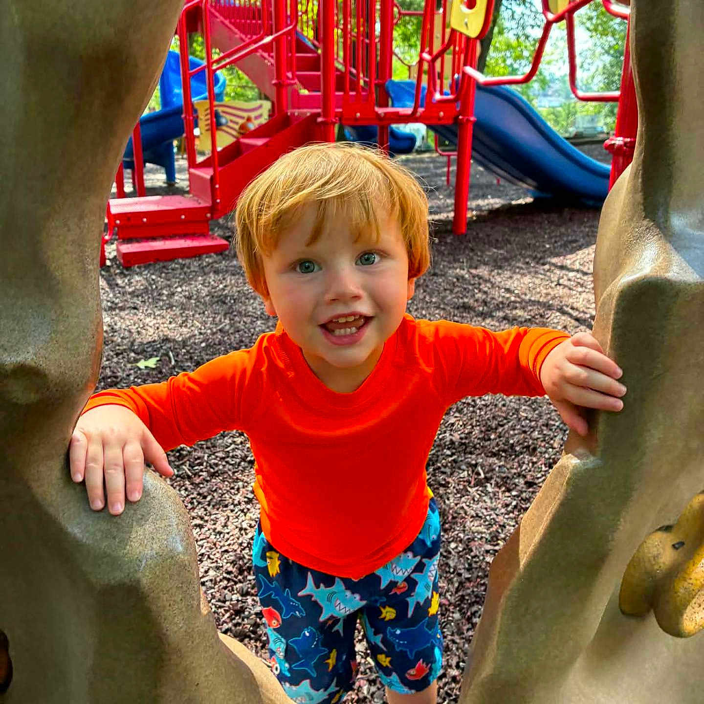 Kingslyn Kole is registered to the contest to win money with this photo: active, casual_clothing, child, climbing_structure, daylight, fun, happy, kid, nature, orange_shirt, outdoor, park, play, play_equipment, playground, recreation, red_hair, slide, smiling, trees