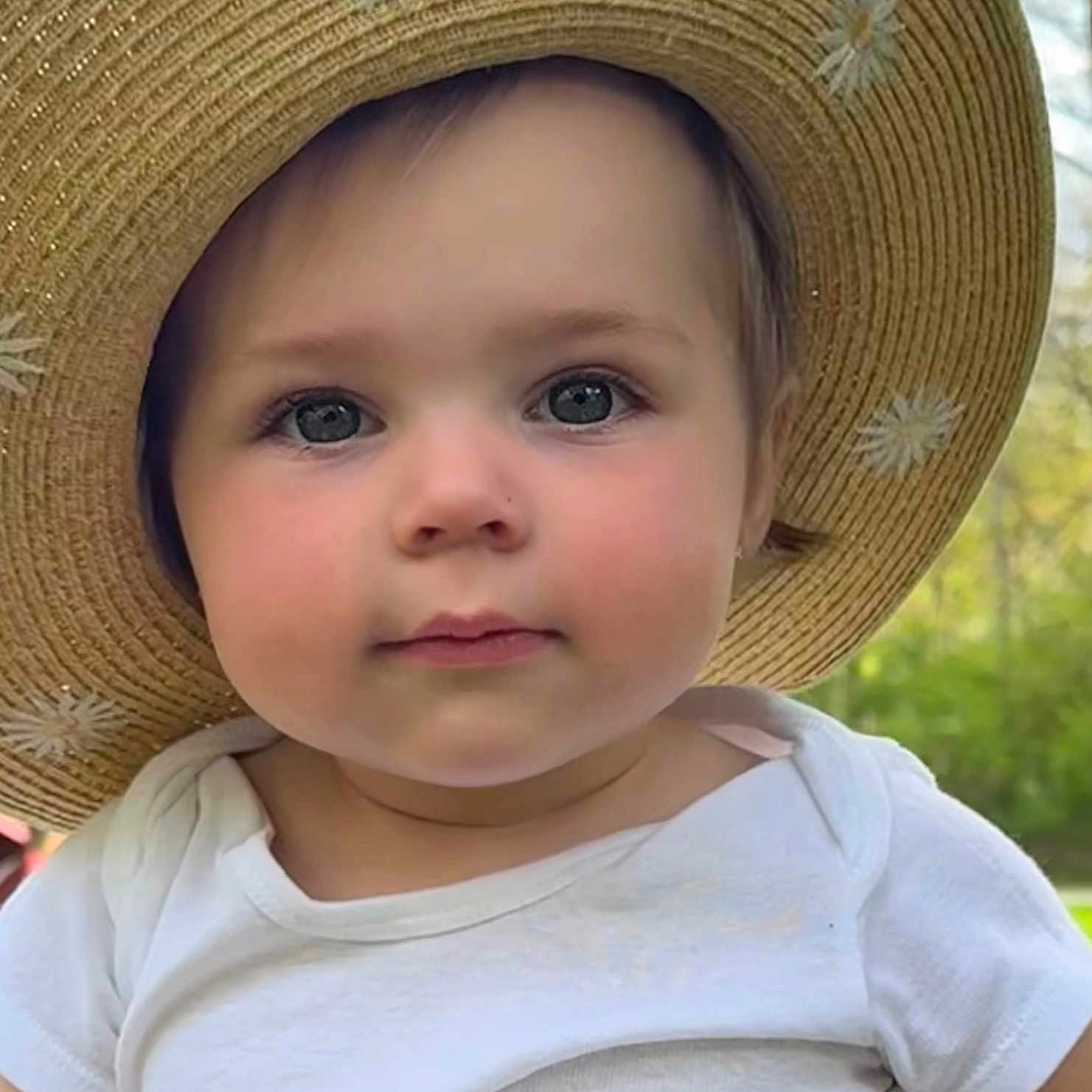 Loralei is registered to the contest to win money with this photo: baby, child, closeup, cute, daisies, face, greenery, hat, headwear, innocence, nature, outdoor, person, portrait, straw_hat, summer, sunlight, toddler, white_shirt, young_child