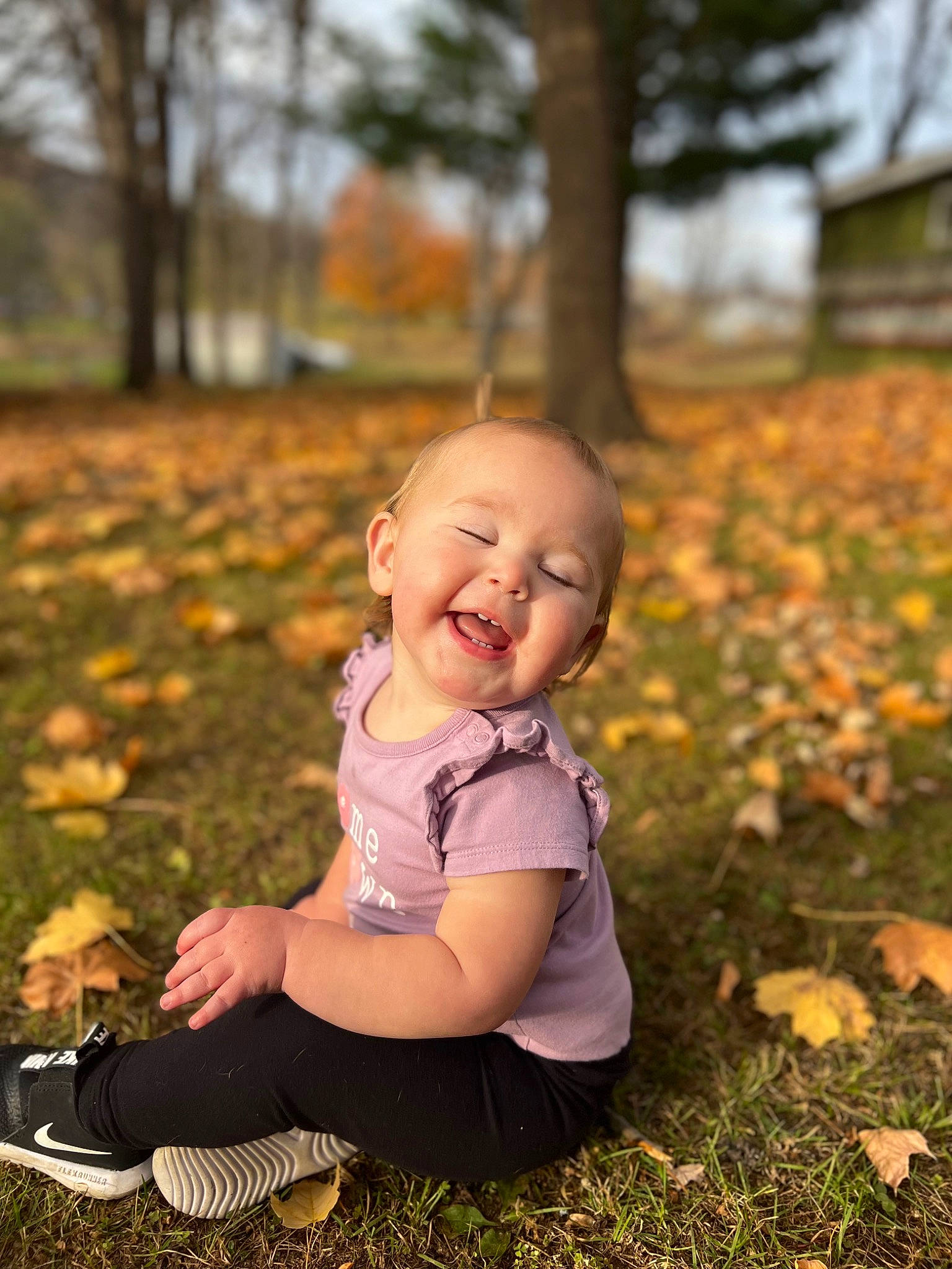 Emmersyn joined the competition — help win amazing prizes! baby, baby_toddler_clothing, blond, child, flash_photography, fun, grass, happy, human_leg, leaf, morning, people_in_nature, person, plant, sitting, smile, sunlight, tints_and_shades, toddler, tree