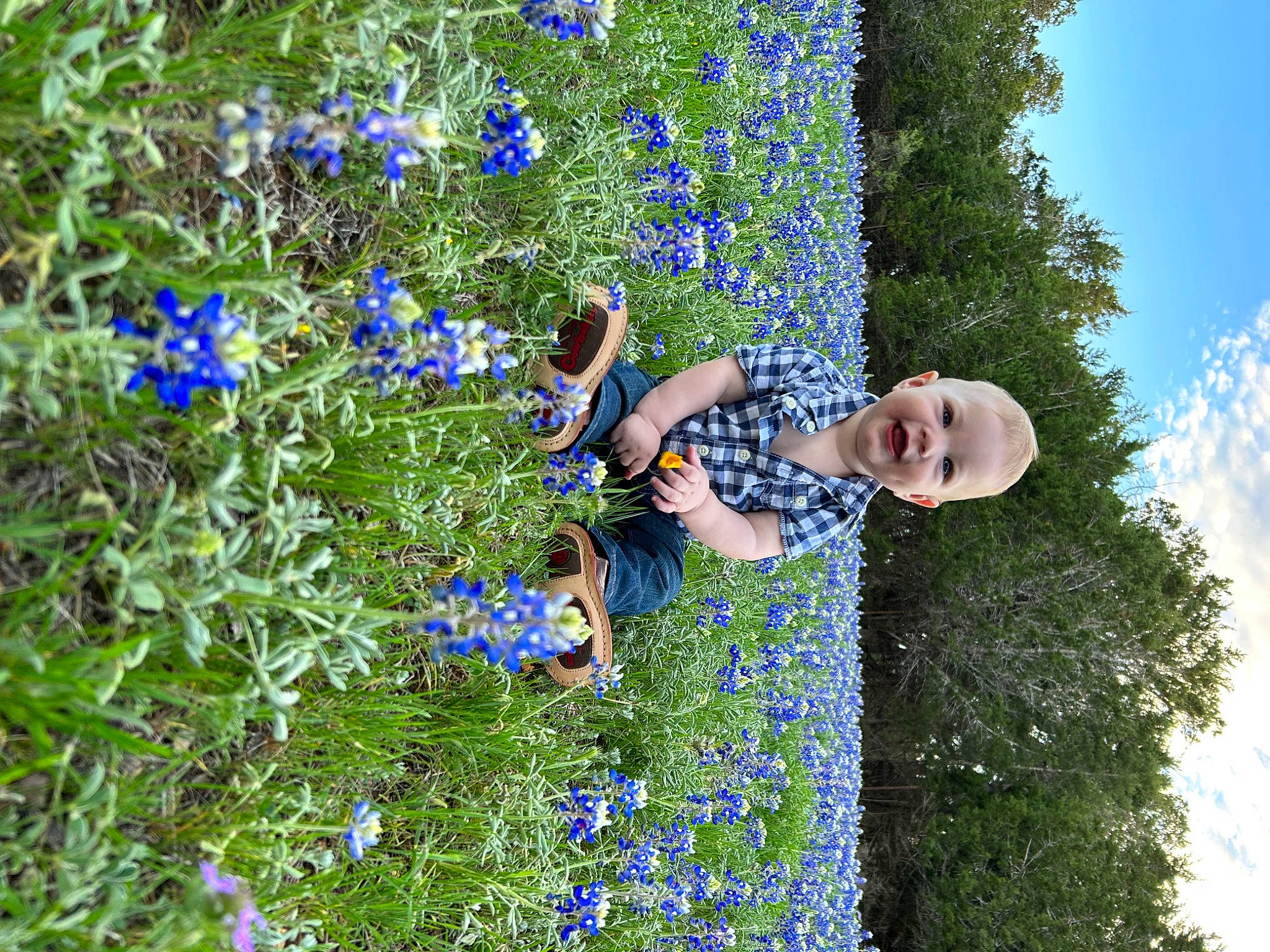 Cody is registered to the contest to win money with this photo: annual_plant, blue, botany, cloud, electric_blue, flower, flowering_plant, grass, groundcover, herbaceous_plant, joy, nature, people_in_nature, person, photograph, plant, shrub, sky, smile, spring