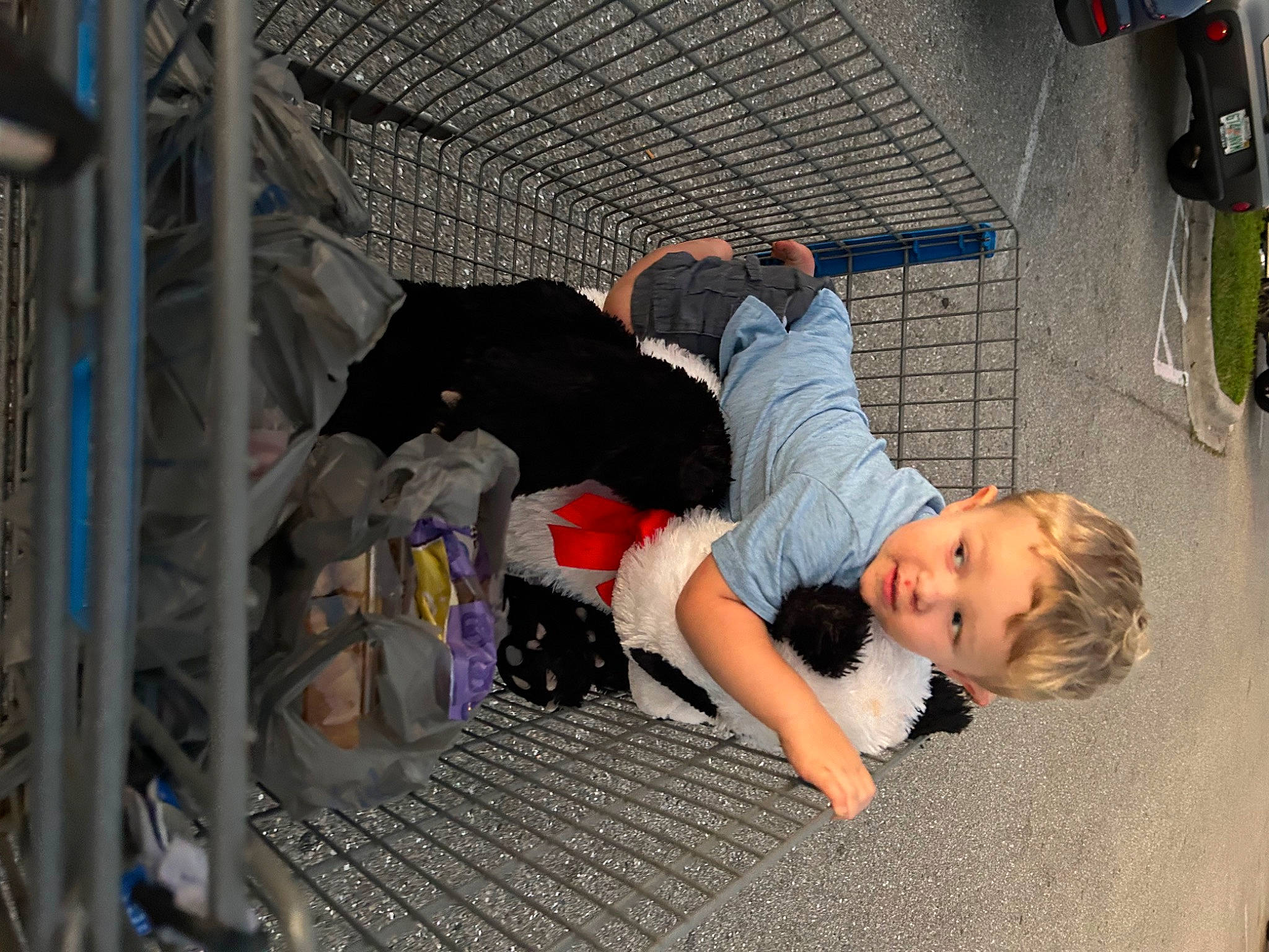 Elijah is registered to the contest to win money with this photo: automotive_exterior, automotive_tire, bumper, car, fender, flooring, fun, grass, helmet, leisure, net, person, rolling, shoe, sneakers, t_shirt, tire, toddler, tree, vehicle_door