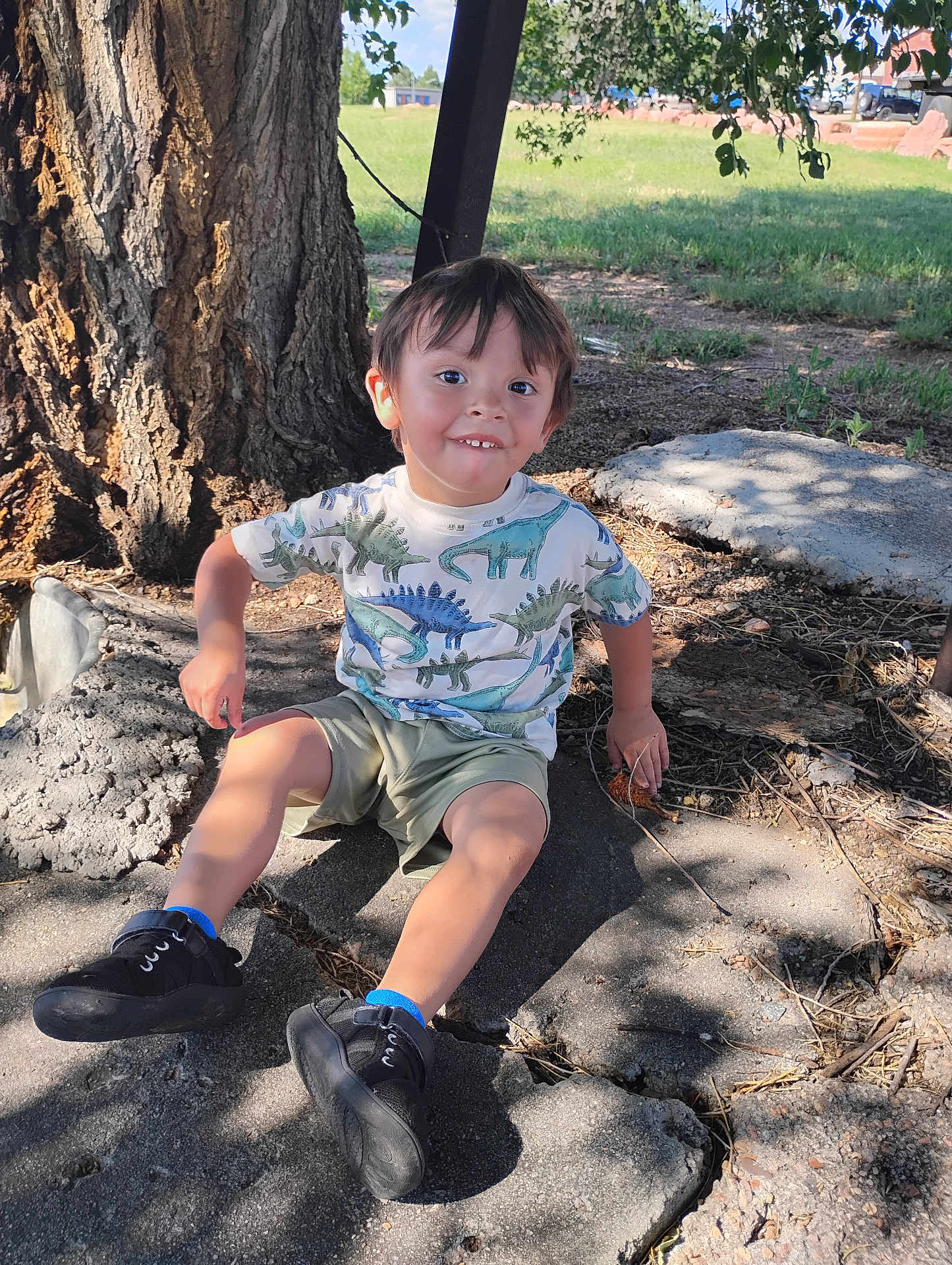 Noah Carter joined the competition — help win amazing prizes! child, boy, dinosaur_shirt, shorts, black_shoes, tree, shade, concrete, cracks, grass, outdoor, sunlight, smiling, casual_clothing, park, nature, playful, young_child, happy, summer