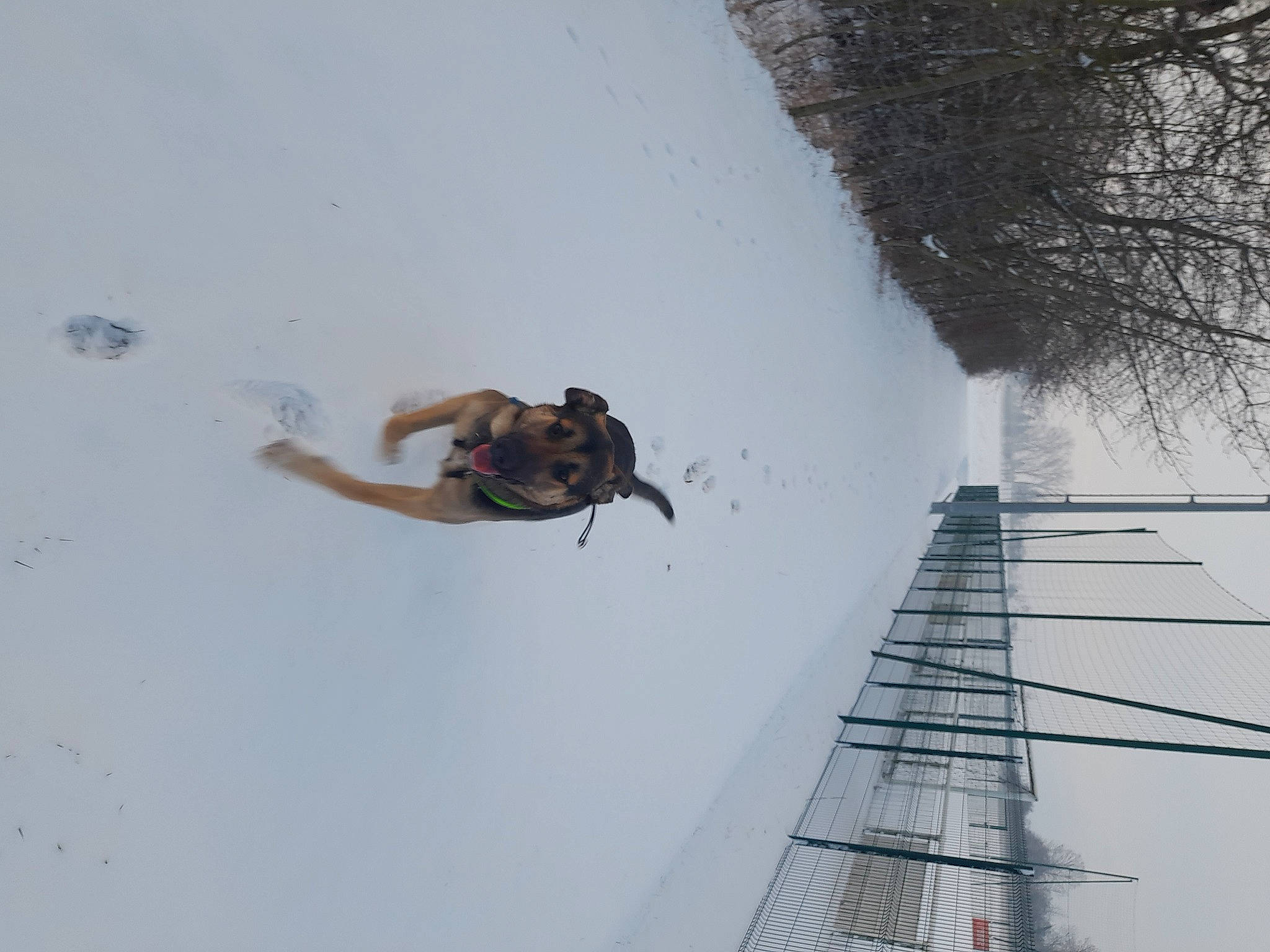 Haru a rejoint le concours — aidez-le/la à gagner de superbes lots ! adventure, extreme_sport, freezing, fun, leisure, plant, recreation, shadow, sky, slope, snow, sport_climbing, sports, sports_equipment, tree, winter, wire