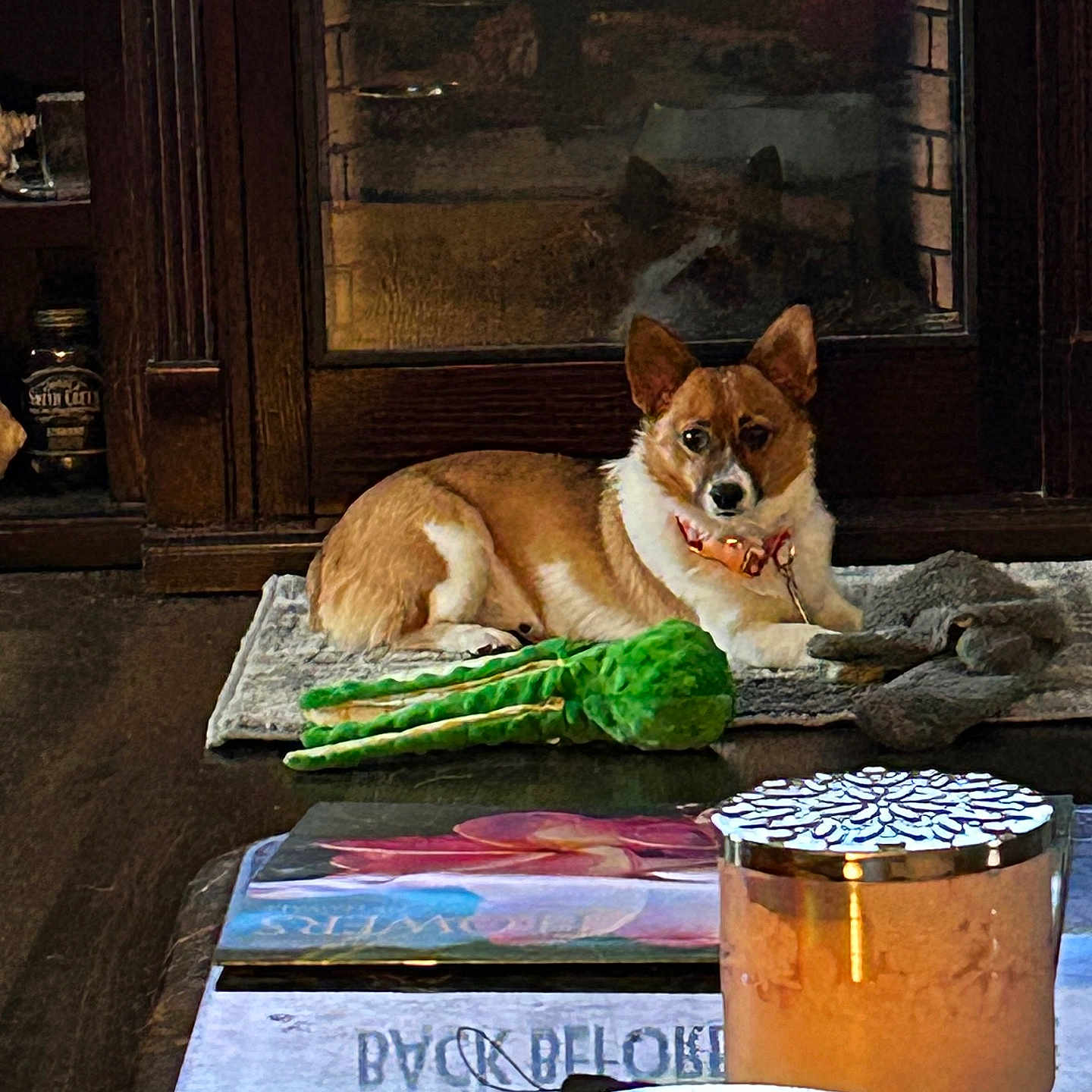 Ruby is registered to the contest to win money with this photo: animal, canine, couch, cream, dessert, diningtable, dog, fireplace, food, fruit, furniture, hardwood, husky, icing, indoors, pet, plant, produce, table, wood