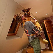 Dixon a rejoint le concours — aidez-le/la à gagner de superbes lots ! person, dog, indoor, tattoo, glasses, window, cardboard_box, bed, wooden_door, smiling_dog, casual_clothing, warm_lighting, floor, ceiling_lights, happy, holding, portrait, home_interior, short_hair, green_pants