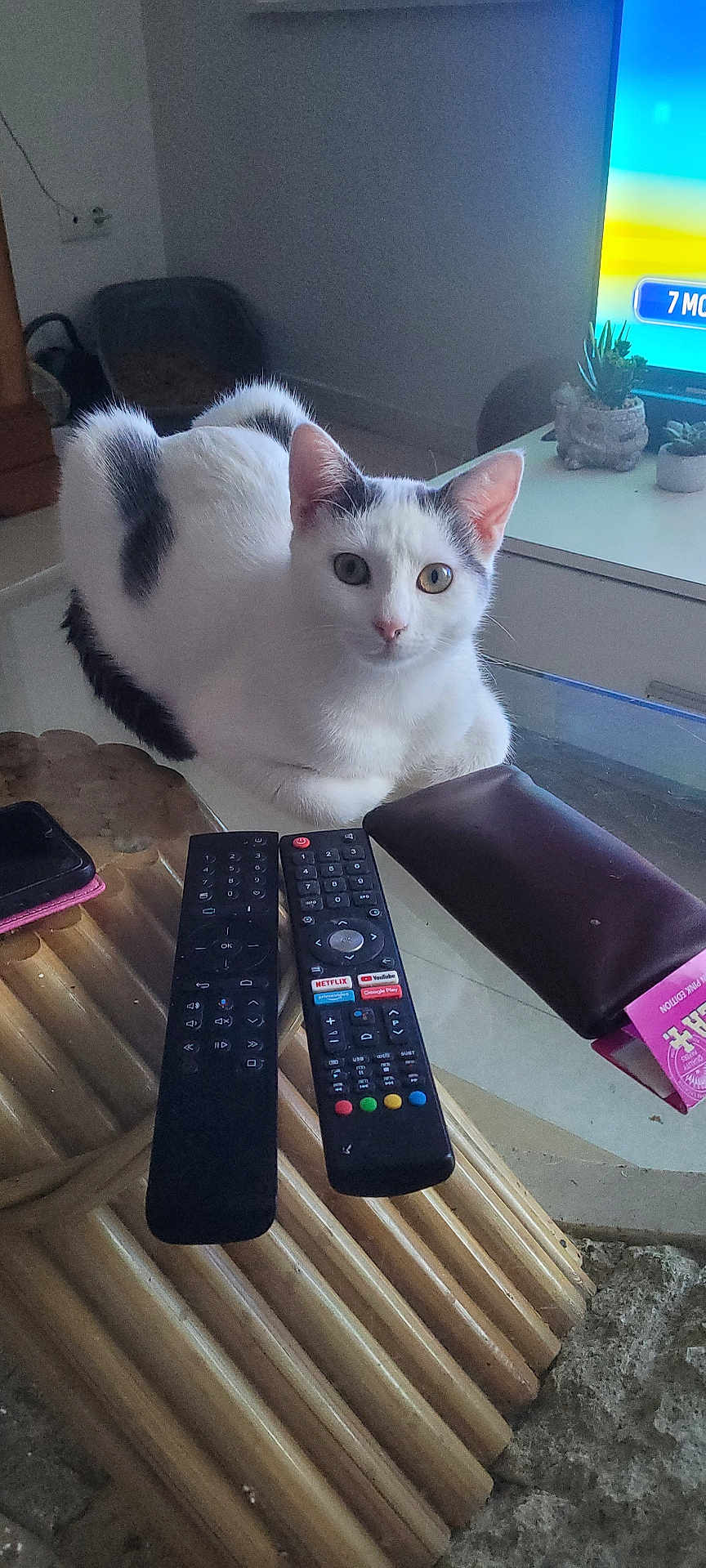 Coco
