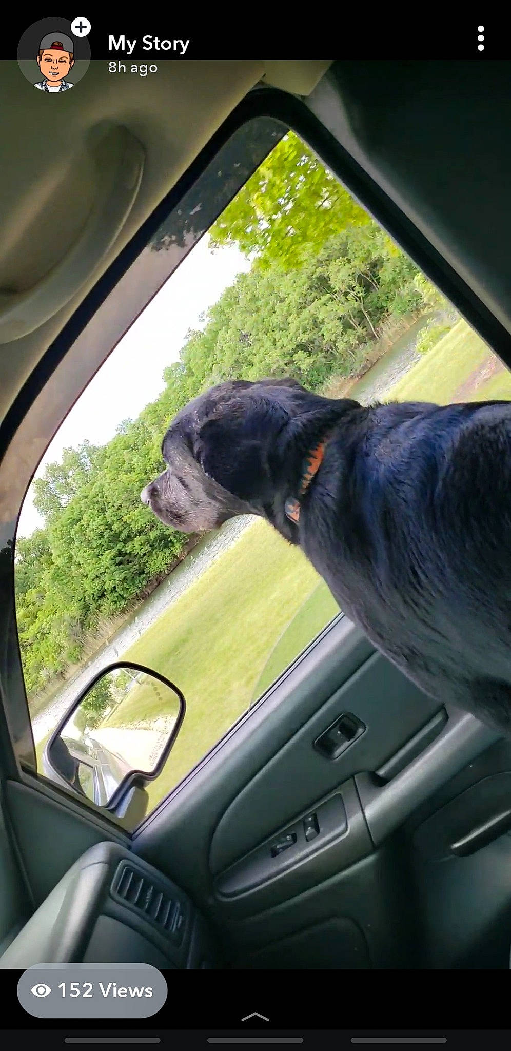 Colt is registered to the contest to win money with this photo: auto_part, automotive_exterior, automotive_mirror, automotive_window_part, canidae, car, car_seat, driving, family_car, glass, rear_view_mirror, sporting_group, steering_part, steering_wheel, vehicle, vehicle_door, window, windshield