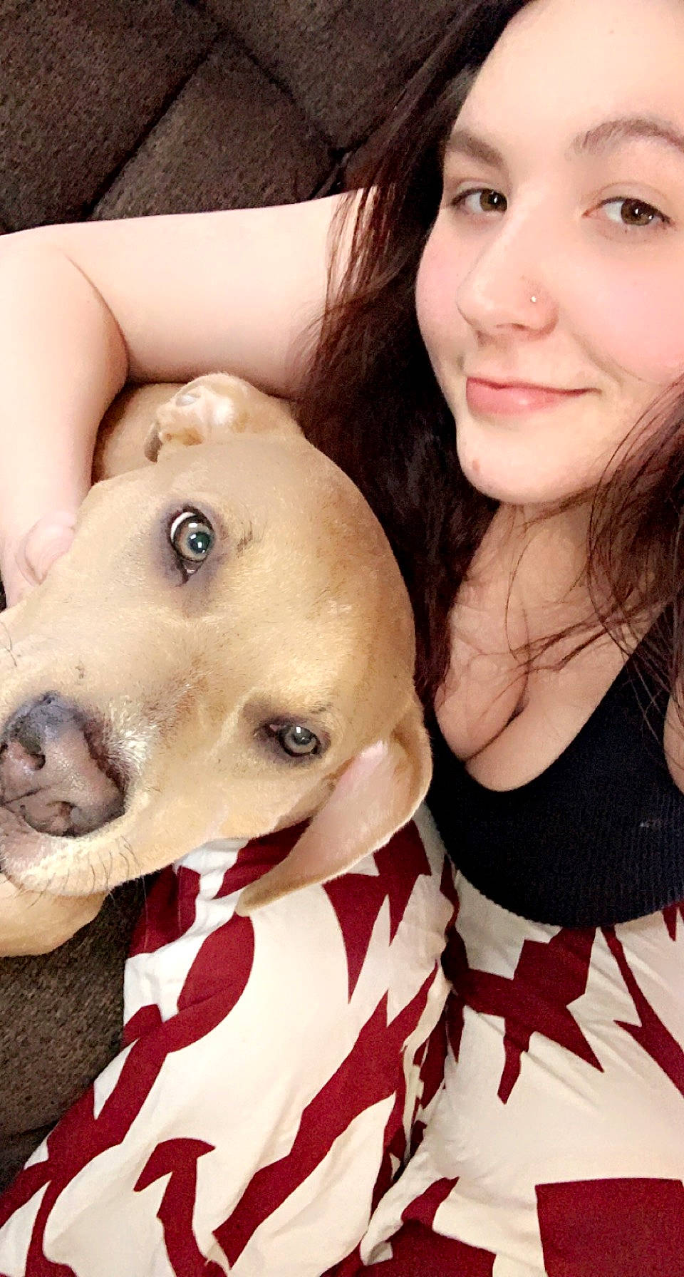 Nova joined the competition — help win amazing prizes! carnivore, dog, ear, eye, eyebrow, eyelash, face, fawn, gesture, happy, head, iris, jaw, lip, mouth, neck, nose, organ, skin, smile