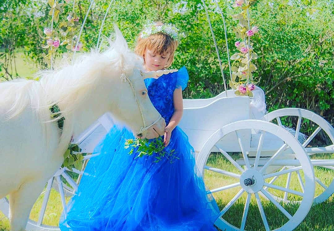 Kinlee is registered to the contest to win money with this photo: carriage, cart, costume, dress, fun, green, happy, horse, horse_and_buggy, leisure, person, plant, summer, vehicle, wheel