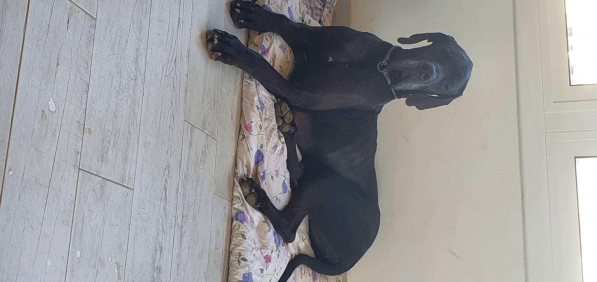 Oxo participe au concours pour gagner de l'argent avec cette photo : art, balance, concrete, elbow, gesture, grey, hardwood, human_leg, leg, plaster, sculpture, shadow, statue, visual_arts, water, wood, wrist