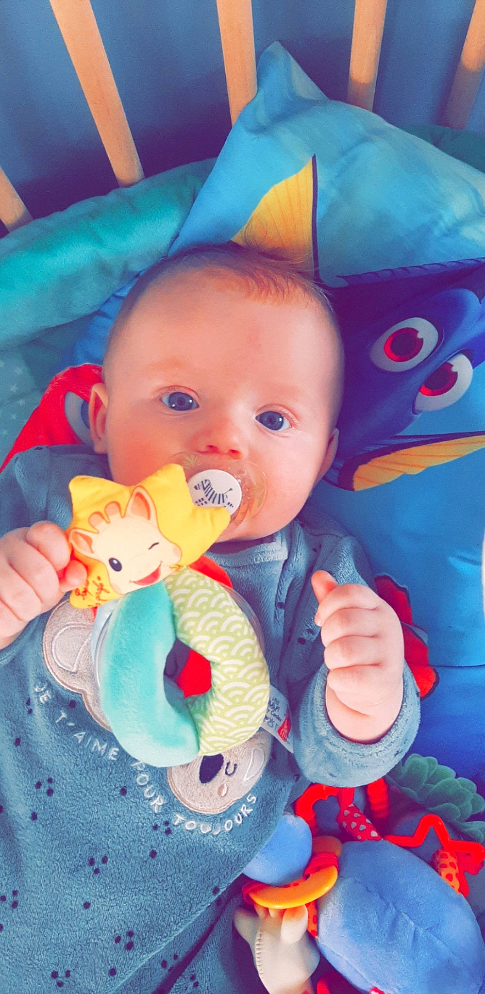 Kelyan participe au concours pour gagner de l'argent avec cette photo : baby, baby_toddler_clothing, blue, cheek, eye, facial_expression, happy, head, human_body, iris, mouth, nose, organ, person, pink, product, skin, sleeve, textile, toddler