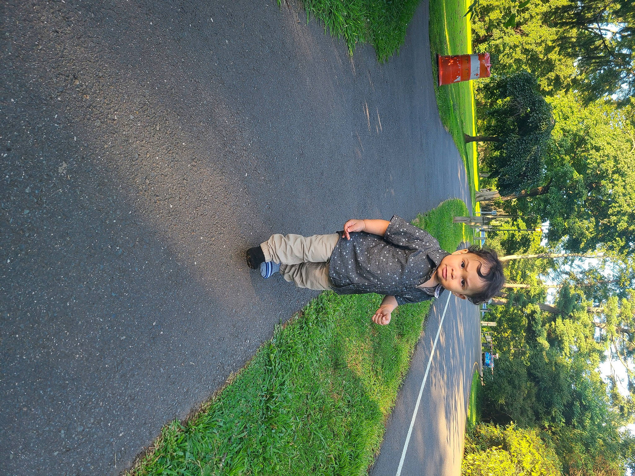 Karma joined the competition — help win amazing prizes! asphalt, fun, grass, grass_family, landscape, leisure, line, morning, people_in_nature, person, plant, recreation, road, road_surface, shrub, sidewalk, slope, street_light, tints_and_shades, tree